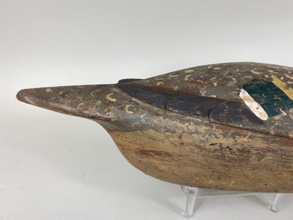 Louis Banchero Jr., Pintail Hen, Janson School (#6710)