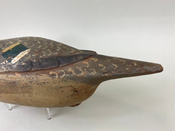 Louis Banchero Jr., Pintail Hen, Janson School (#6710)