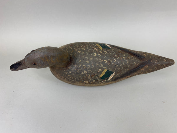 Louis Banchero Jr., Pintail Hen, Janson School (#6710)