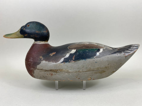 Mason Premier Mallard Drake (#6714)
