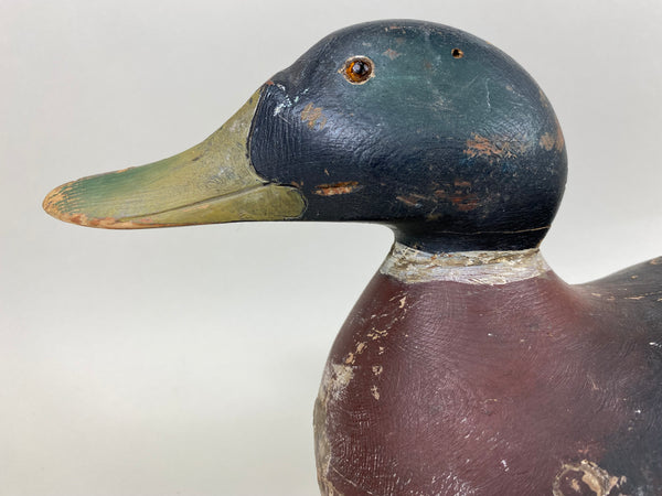 Mason Premier Mallard Drake (#6714)