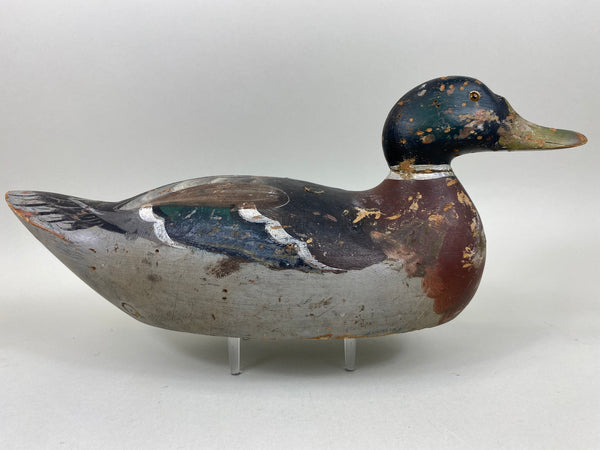 Mason Premier Mallard Drake (#6714)