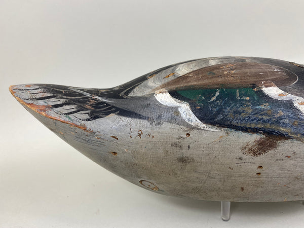 Mason Premier Mallard Drake (#6714)