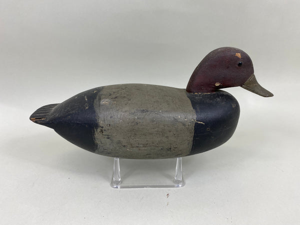 English Family Redhead Drake (#6727)