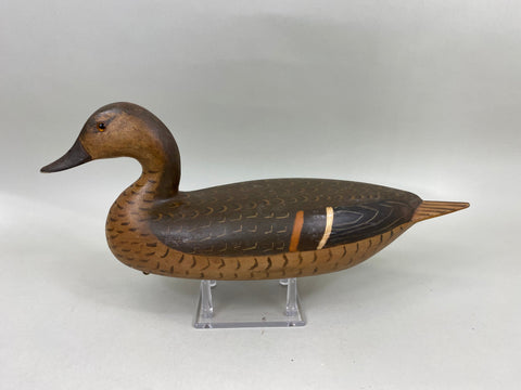 Perdew Style Pintail Drake by Torry Ward (#6743)