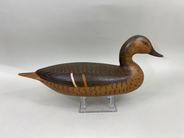 Perdew Style Pintail Drake by Torry Ward (#6743)
