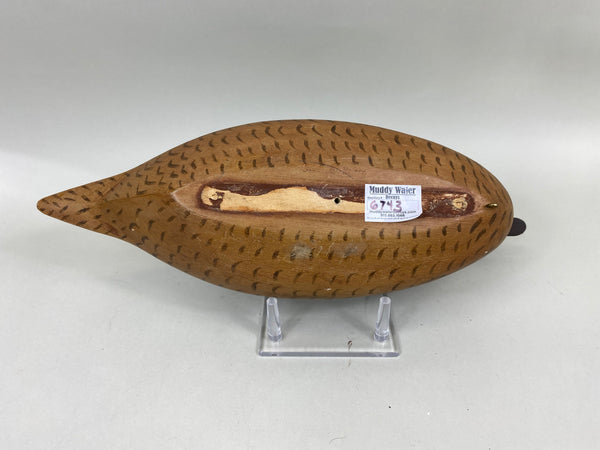 Perdew Style Pintail Drake by Torry Ward (#6743)