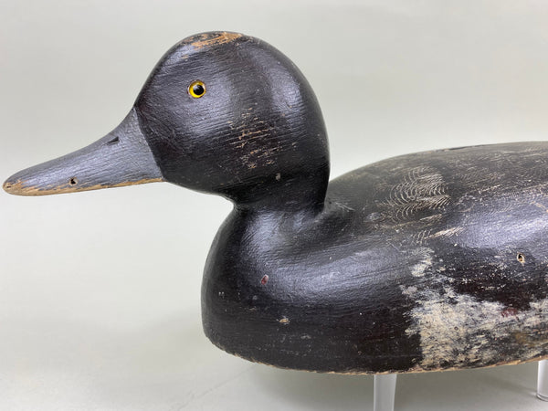 Will Smith Blue Bill Drake, Original Paint (#6750)