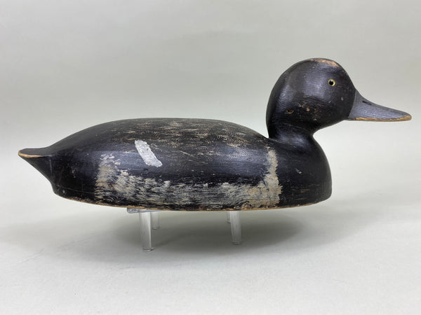 Will Smith Blue Bill Drake, Original Paint (#6750)