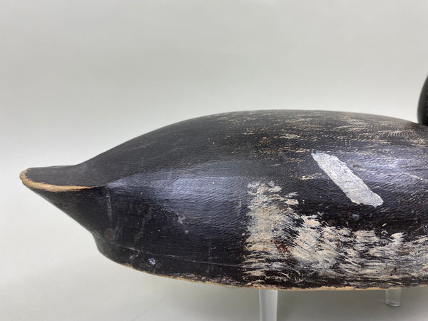 Will Smith Blue Bill Drake, Original Paint (#6750)