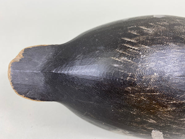 Will Smith Blue Bill Drake, Original Paint (#6750)