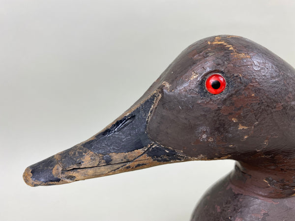 Mason Premier Canvasback Hen (#6755)