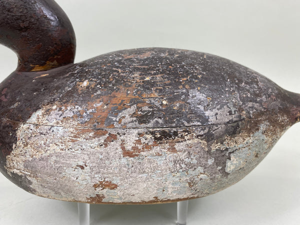 Mason Premier Canvasback Hen (#6755)