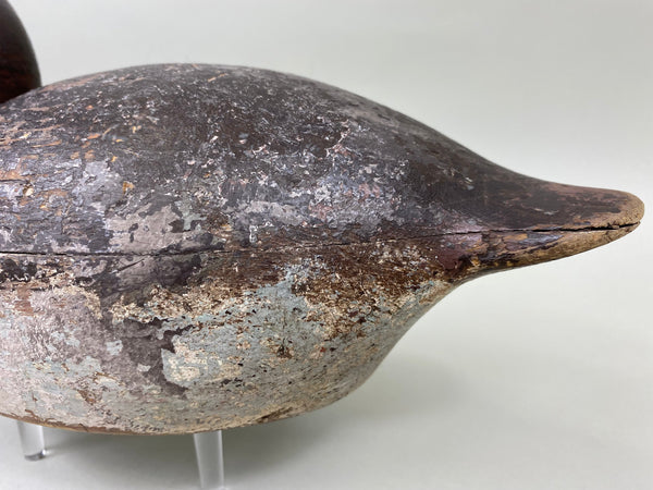 Mason Premier Canvasback Hen (#6755)