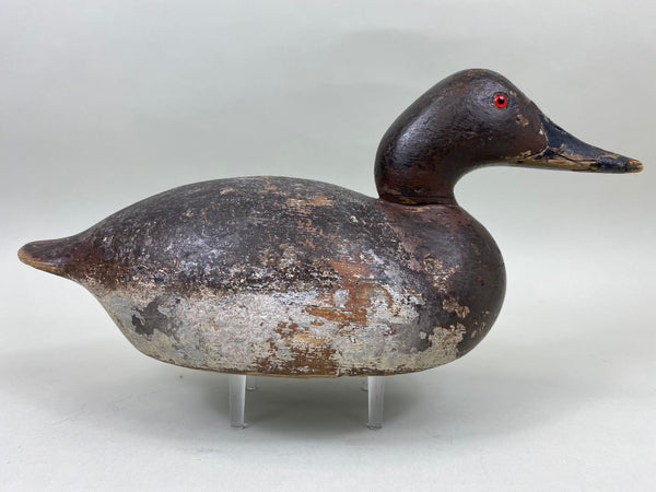 Mason Premier Canvasback Hen (#6755)
