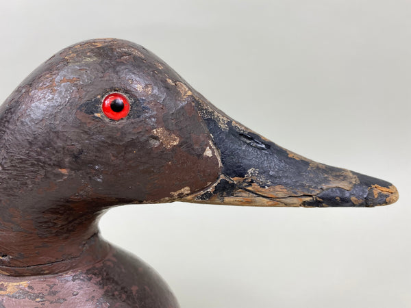 Mason Premier Canvasback Hen (#6755)