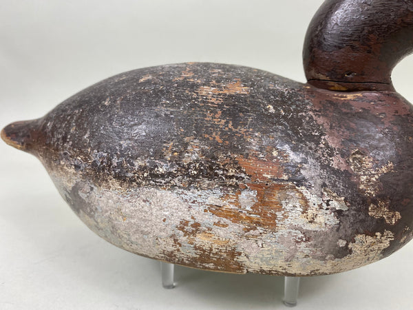 Mason Premier Canvasback Hen (#6755)