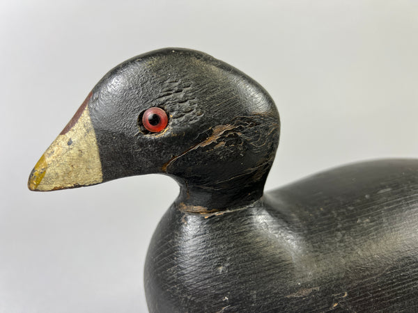 Pratt Factory Coot (#8028)