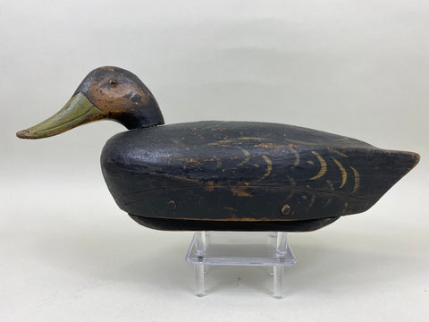 Unknown Black Duck, Circa 1930's (#6758)