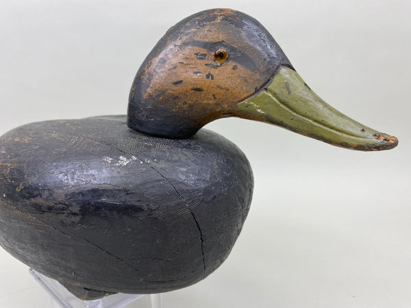Unknown Black Duck, Circa 1930's (#6758)