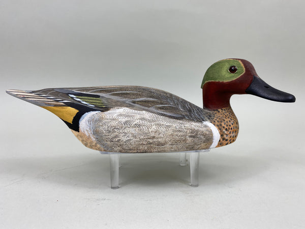 Torry Ward Green Wing Teal Drake, Turned Head (#6761)