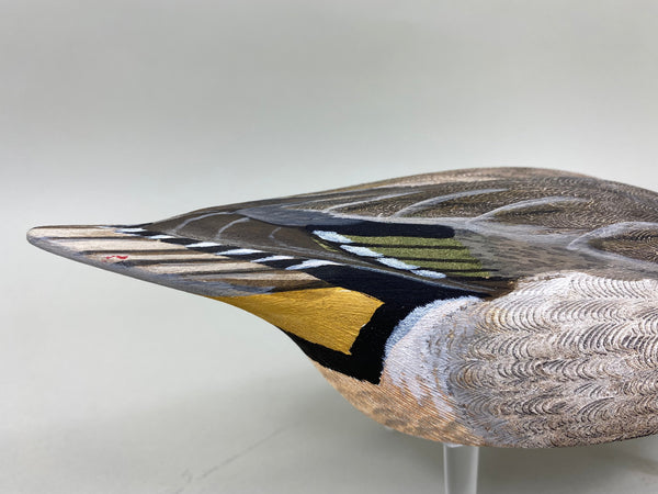 Torry Ward Green Wing Teal Drake, Turned Head (#6761)