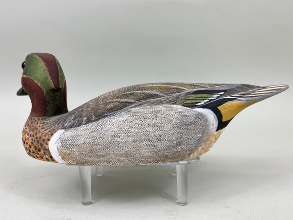 Torry Ward Green Wing Teal Drake, Turned Head (#6761)