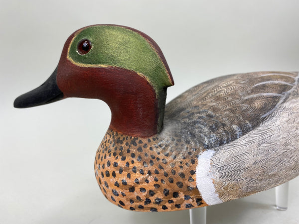 Torry Ward Green Wing Teal Drake, Turned Head (#6761)