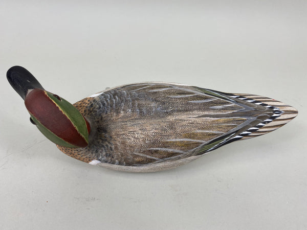 Torry Ward Green Wing Teal Drake, Turned Head (#6761)