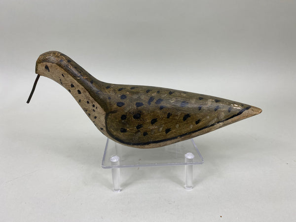 New Jersey Yellowlegs Shorebird, Circa 1900 (#6774)