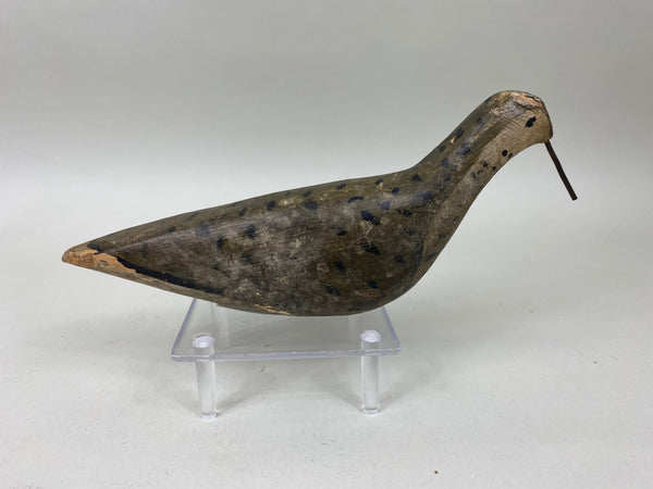 New Jersey Yellowlegs Shorebird, Circa 1900 (#6774)