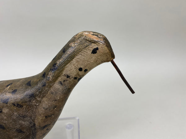 New Jersey Yellowlegs Shorebird, Circa 1900 (#6774)