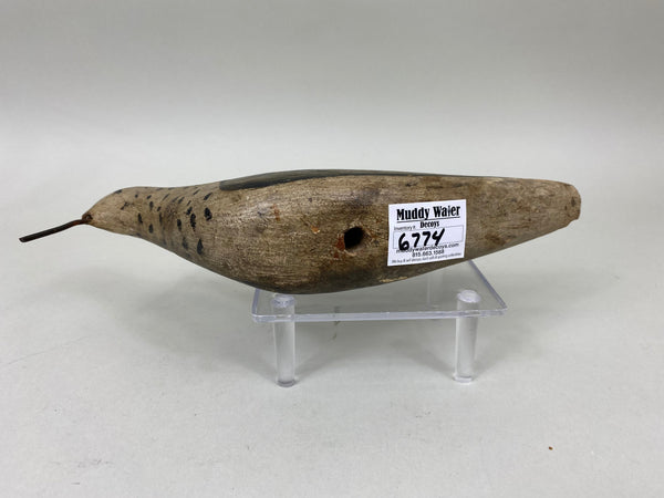 New Jersey Yellowlegs Shorebird, Circa 1900 (#6774)