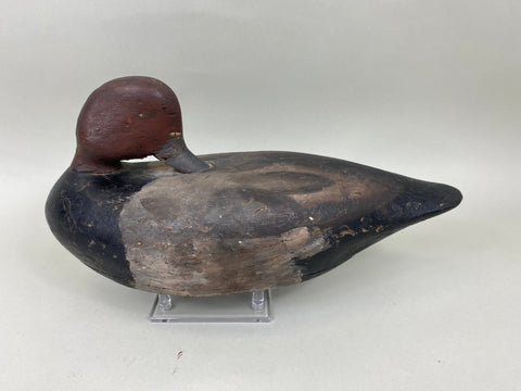 Unknown Redhead Drake Sleeper, Circa 1920's (#6777)