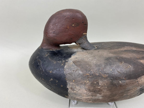 Unknown Redhead Drake Sleeper, Circa 1920's (#6777)