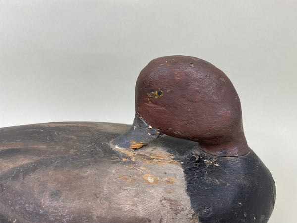 Unknown Redhead Drake Sleeper, Circa 1920's (#6777)