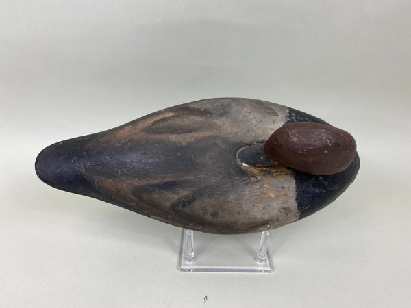 Unknown Redhead Drake Sleeper, Circa 1920's (#6777)