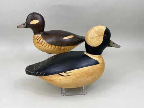 Jim Slack Pair of Bufflehead (#6805)