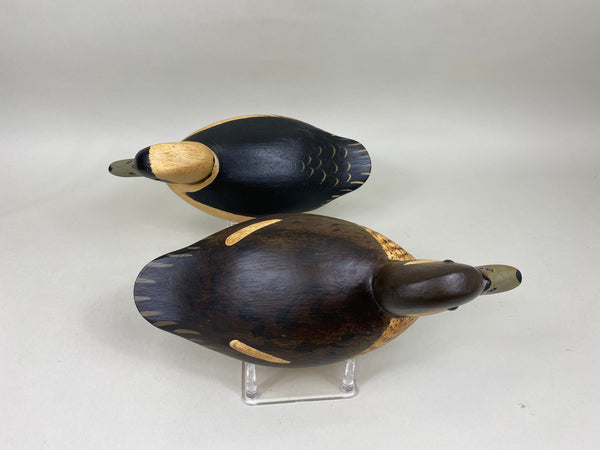 Jim Slack Pair of Bufflehead (#6805)