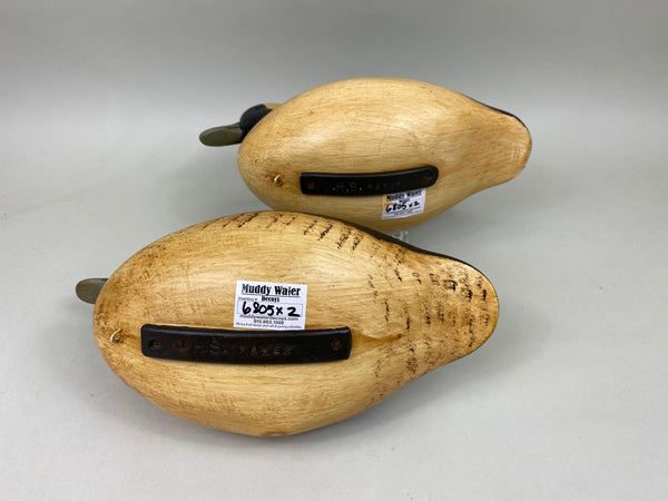 Jim Slack Pair of Bufflehead (#6805)