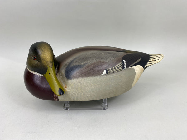 Ken Harris Mallard Drake Preener (#6823)