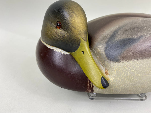 Ken Harris Mallard Drake Preener (#6823)