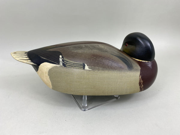 Ken Harris Mallard Drake Preener (#6823)