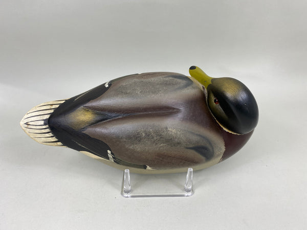 Ken Harris Mallard Drake Preener (#6823)