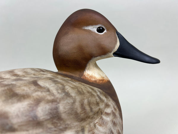 Clint Taylor Wooden Canvasback Hen (#5265)
