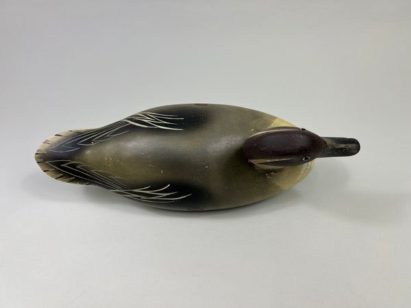 Wildfowler Pintail Drake, Old Saybrook, Rare Pine (#4248)