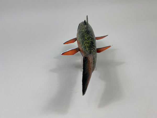 Casey Edwards Trout Fish Spearing Decoy (#6878B)