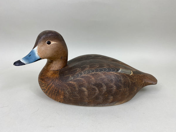 Torry Ward Redhead Hen (#6896)