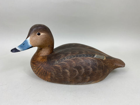 Torry Ward Redhead Hen (#6896)