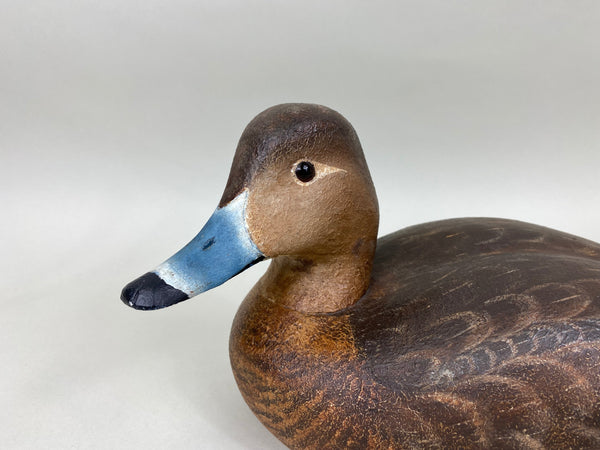 Torry Ward Redhead Hen (#6896)